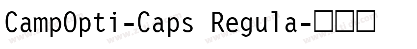 CampOpti-Caps Regula字体转换